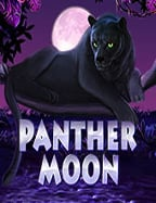 ทางเข้า สล็อต 99: รีวิวครบเครื่องสำหรับนักพนัน